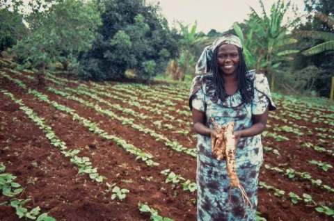 Wangari Maathai: A Champion Of Forests thumbnail