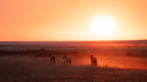 Earthshot 2024: People Making A Difference! thumbnail